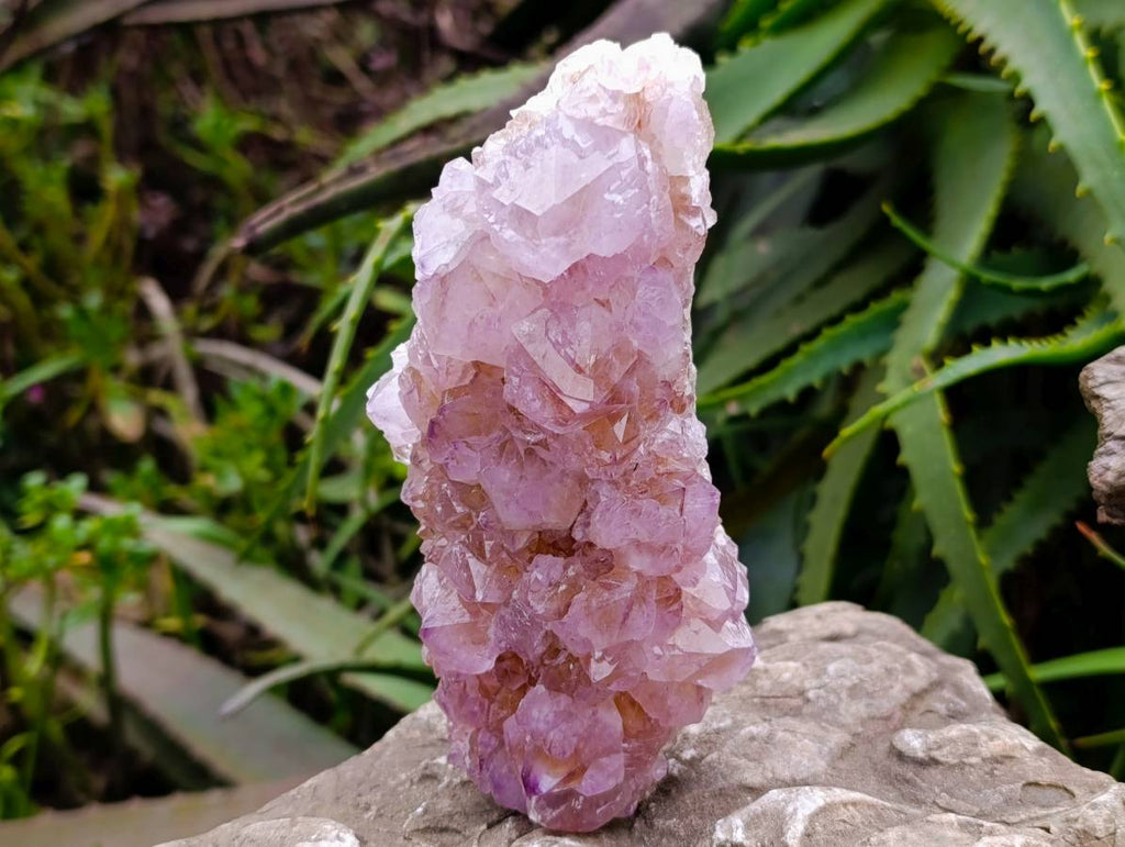 Natural Amethyst Spirit Quartz Clusters x 2 From Boekenhouthoek, South Africa - Toprock Gemstones and Minerals 