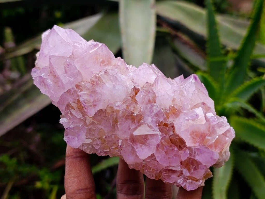 Natural Amethyst Spirit Quartz Clusters x 2 From Boekenhouthoek, South Africa - Toprock Gemstones and Minerals 