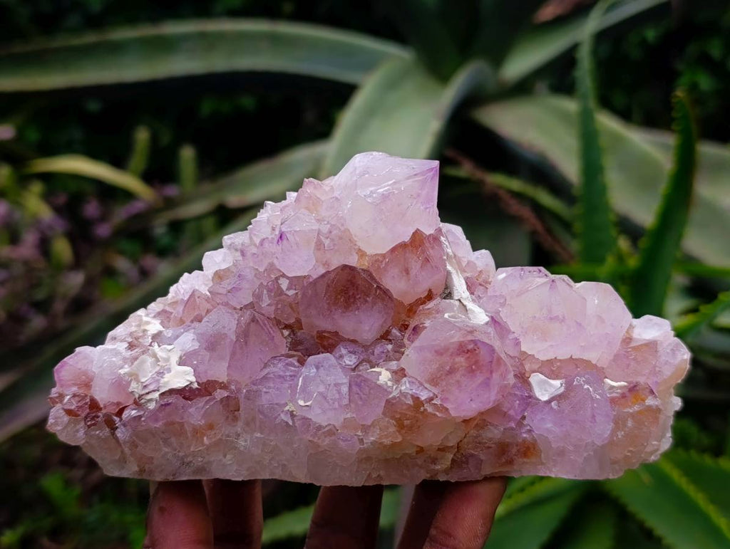 Natural Amethyst Spirit Quartz Clusters x 2 From Boekenhouthoek, South Africa - Toprock Gemstones and Minerals 