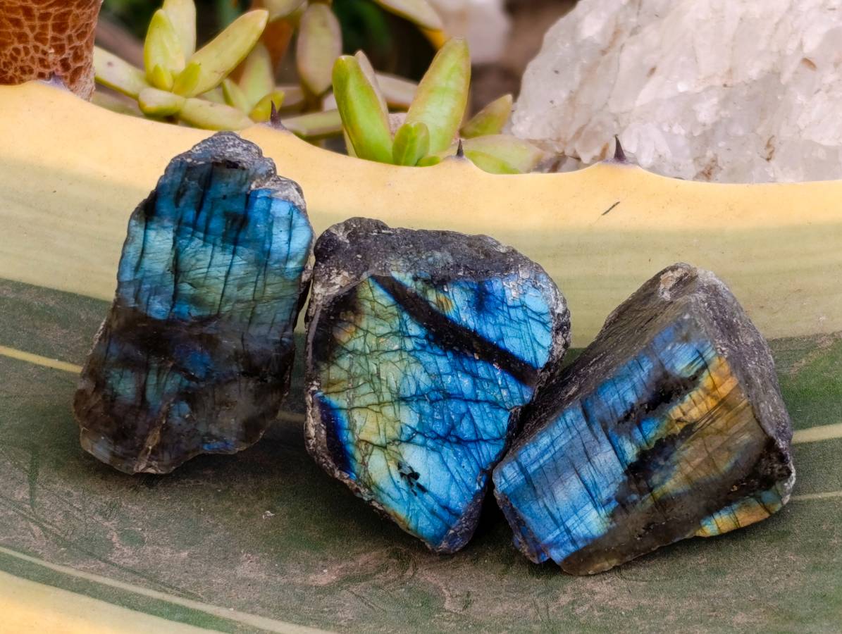 Polished On One Side Labradorite x 35 From Tulear, Madagascar - Toprock Gemstones and Minerals 