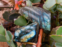 Polished On One Side Labradorite x 35 From Tulear, Madagascar