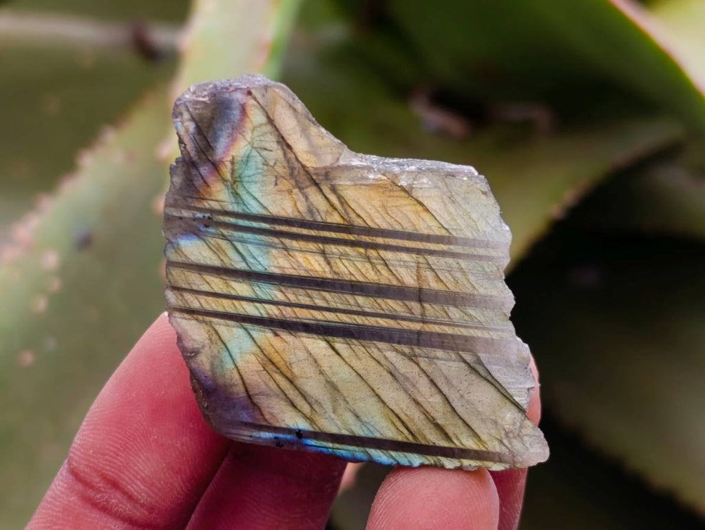 Polished On One Side Labradorite x 35 From Tulear, Madagascar - Toprock Gemstones and Minerals 
