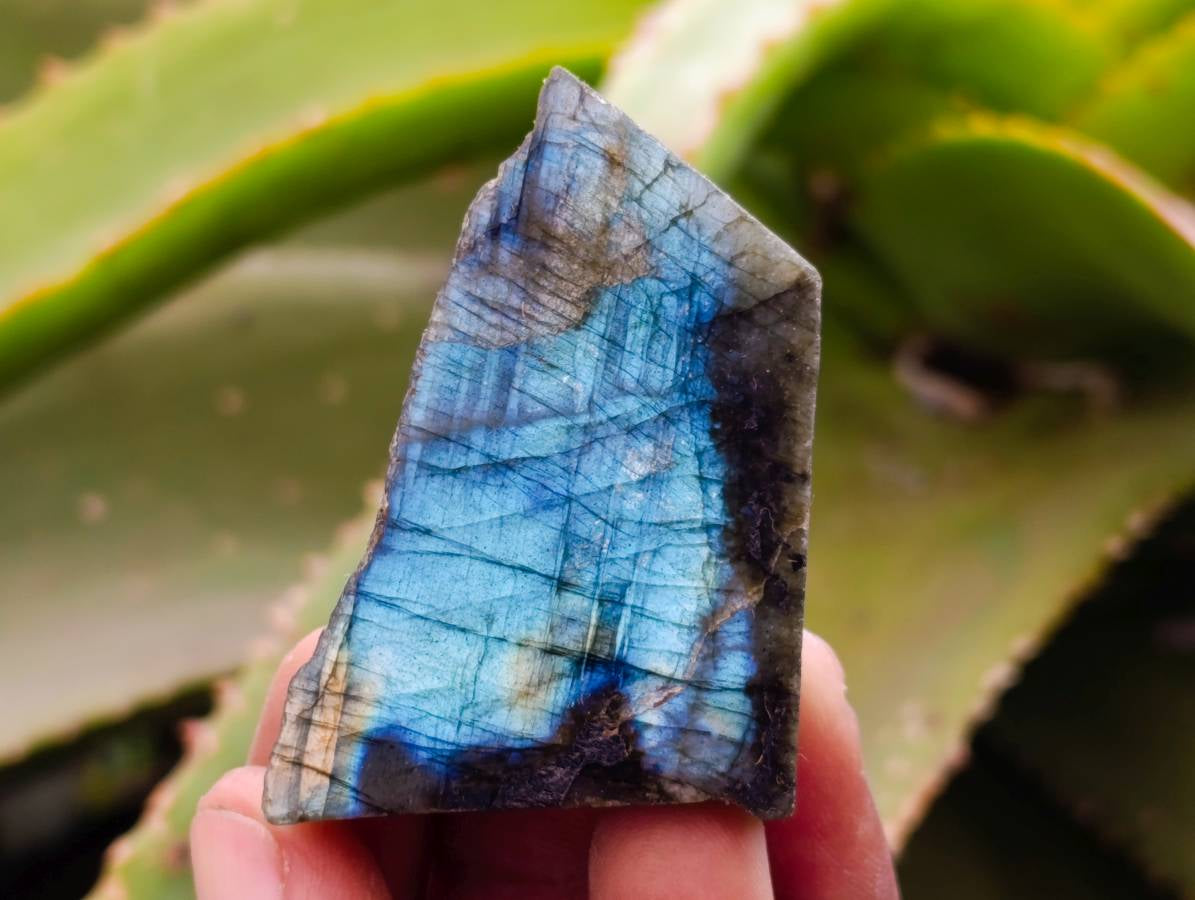 Polished On One Side Labradorite x 35 From Tulear, Madagascar - Toprock Gemstones and Minerals 