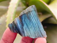 Polished On One Side Labradorite x 35 From Tulear, Madagascar