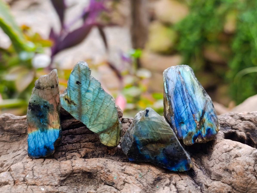 Polished On One Side Labradorite x 35 From Tulear, Madagascar - Toprock Gemstones and Minerals 