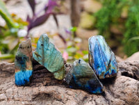 Polished On One Side Labradorite x 35 From Tulear, Madagascar
