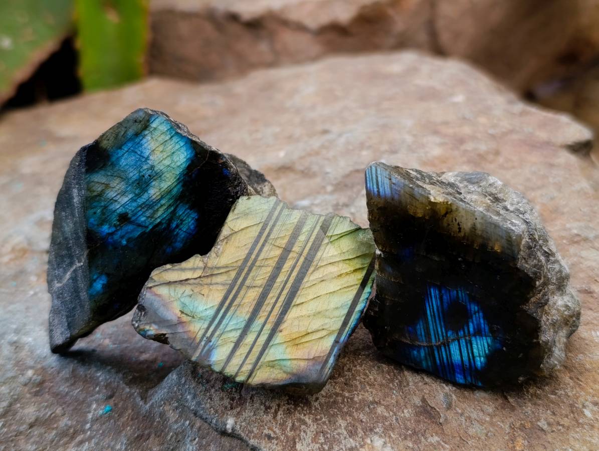 Polished On One Side Labradorite x 35 From Tulear, Madagascar - Toprock Gemstones and Minerals 