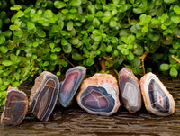 Polished On One Side Sashe River Agate Nodules x 6 From Sashe River, Zimbabwe