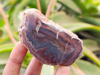 Polished On One Side Sashe River Agate Nodules x 6 From Sashe River, Zimbabwe