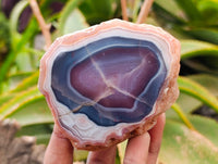 Polished On One Side Sashe River Agate Nodules x 6 From Sashe River, Zimbabwe