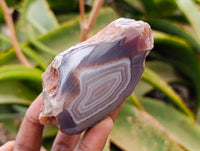 Polished On One Side Sashe River Agate Nodules x 6 From Sashe River, Zimbabwe