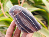 Polished On One Side Sashe River Agate Nodules x 6 From Sashe River, Zimbabwe