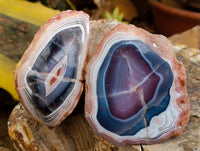 Polished On One Side Sashe River Agate Nodules x 6 From Sashe River, Zimbabwe