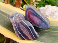 Polished On One Side Sashe River Agate Nodules x 6 From Sashe River, Zimbabwe