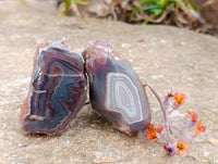 Polished On One Side Sashe River Agate Nodules x 6 From Sashe River, Zimbabwe