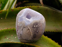 Polished Blue Lace Agate Standing Free Forms x 3 From Nsanje, Malawi