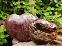 Polished Red Podocarpus Petrified Wood Hearts x 2 From Mahajanga, Madagascar