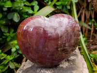 Polished Red Podocarpus Petrified Wood Hearts x 2 From Mahajanga, Madagascar