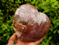 Polished Red Podocarpus Petrified Wood Hearts x 2 From Mahajanga, Madagascar