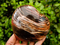 Polished Red Podocarpus Petrified Wood Hearts x 2 From Mahajanga, Madagascar