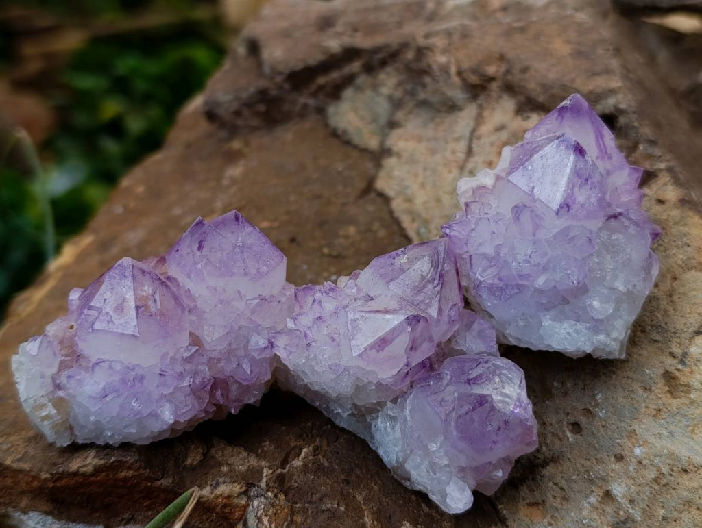 Natural Sunburst Amethyst Spirit Quartz Clusters x 12 From Boekenhouthoek, South Africa - Toprock Gemstones and Minerals 