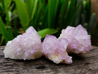 Natural Sunburst Amethyst Spirit Quartz Clusters x 12 From Boekenhouthoek, South Africa