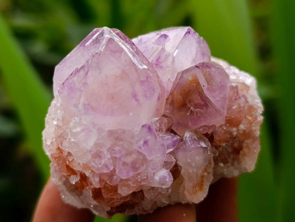 Natural Sunburst Amethyst Spirit Quartz Clusters x 12 From Boekenhouthoek, South Africa - Toprock Gemstones and Minerals 