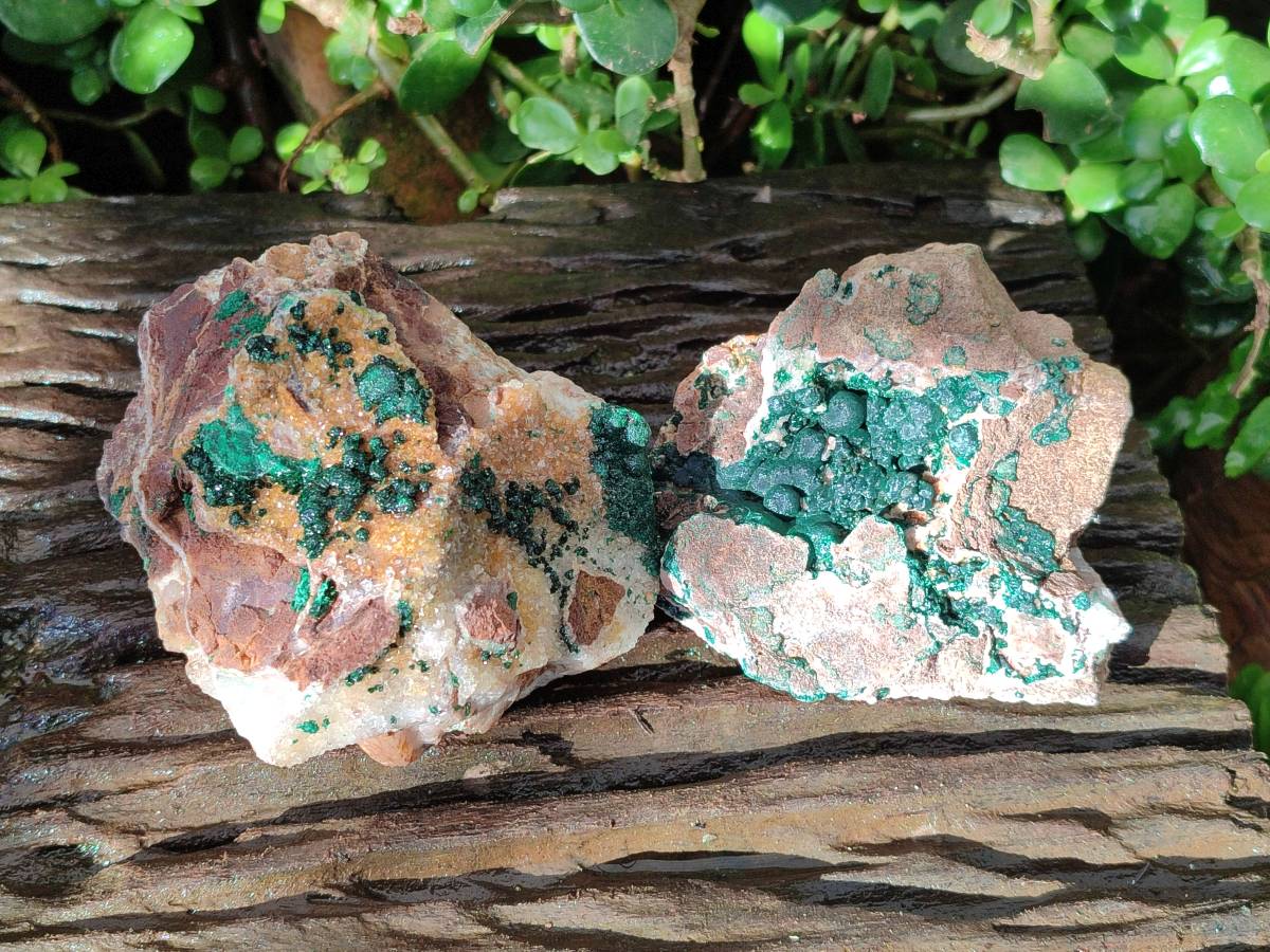 Natural Ball Malachite and Drusy Quartz On Dolomite Matrix Specimens x 2 From Mindingi Mine, Kambove, Congo - Toprock Gemstones and Minerals 
