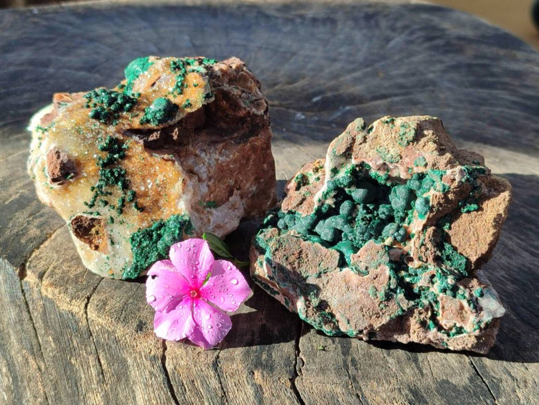 Natural Ball Malachite and Drusy Quartz On Dolomite Matrix Specimens x 2 From Mindingi Mine, Kambove, Congo - Toprock Gemstones and Minerals 