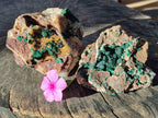 Natural Ball Malachite and Drusy Quartz On Dolomite Matrix Specimens x 2 From Mindingi Mine, Kambove, Congo - Toprock Gemstones and Minerals 