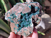 Natural Ball Malachite and Drusy Quartz On Dolomite Matrix Specimens x 2 From Mindingi Mine, Kambove, Congo