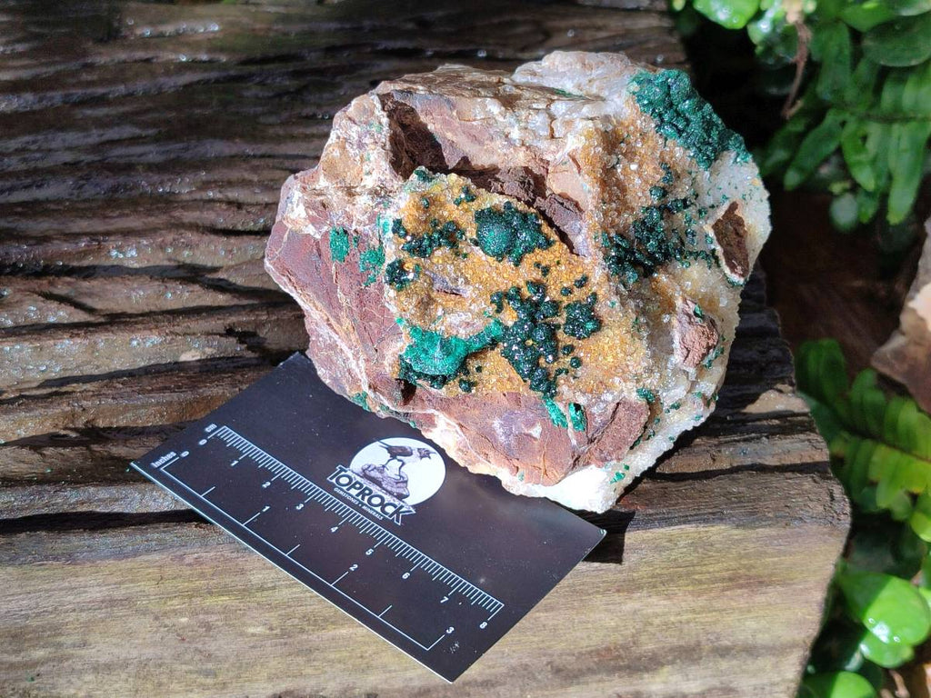 Natural Ball Malachite and Drusy Quartz On Dolomite Matrix Specimens x 2 From Mindingi Mine, Kambove, Congo - Toprock Gemstones and Minerals 
