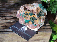 Natural Ball Malachite and Drusy Quartz On Dolomite Matrix Specimens x 2 From Mindingi Mine, Kambove, Congo