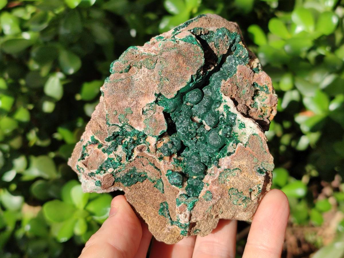 Natural Ball Malachite and Drusy Quartz On Dolomite Matrix Specimens x 2 From Mindingi Mine, Kambove, Congo - Toprock Gemstones and Minerals 