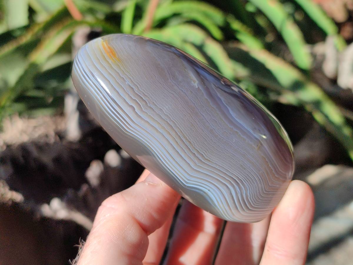 Polished Banded Agate Standing Free Forms x 6 From Madagascar - Toprock Gemstones and Minerals 