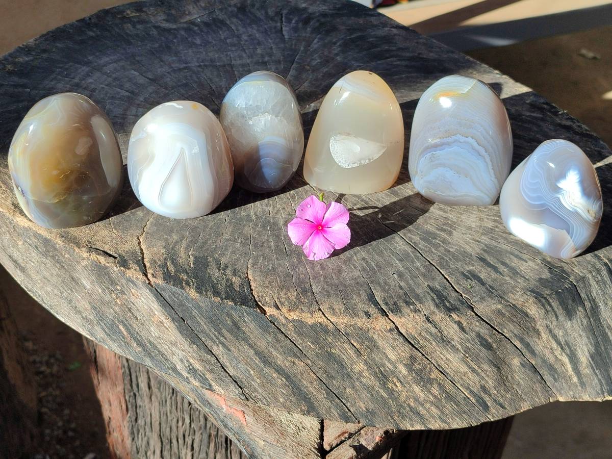 Polished Banded Agate Standing Free Forms x 6 From Madagascar - Toprock Gemstones and Minerals 