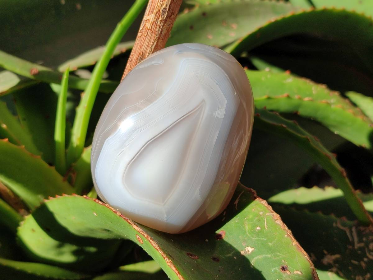 Polished Banded Agate Standing Free Forms x 6 From Madagascar - Toprock Gemstones and Minerals 