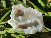 Natural Etched Blue Chalcedony Geodes x 6 From Nsanje, Malawi