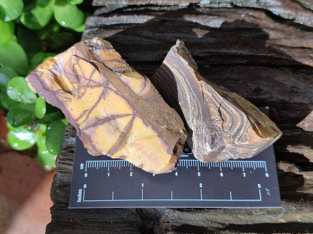 Natural Nguni Jasper Cobbed Specimens x 28 From Northern Cape, South Africa - Toprock Gemstones and Minerals 