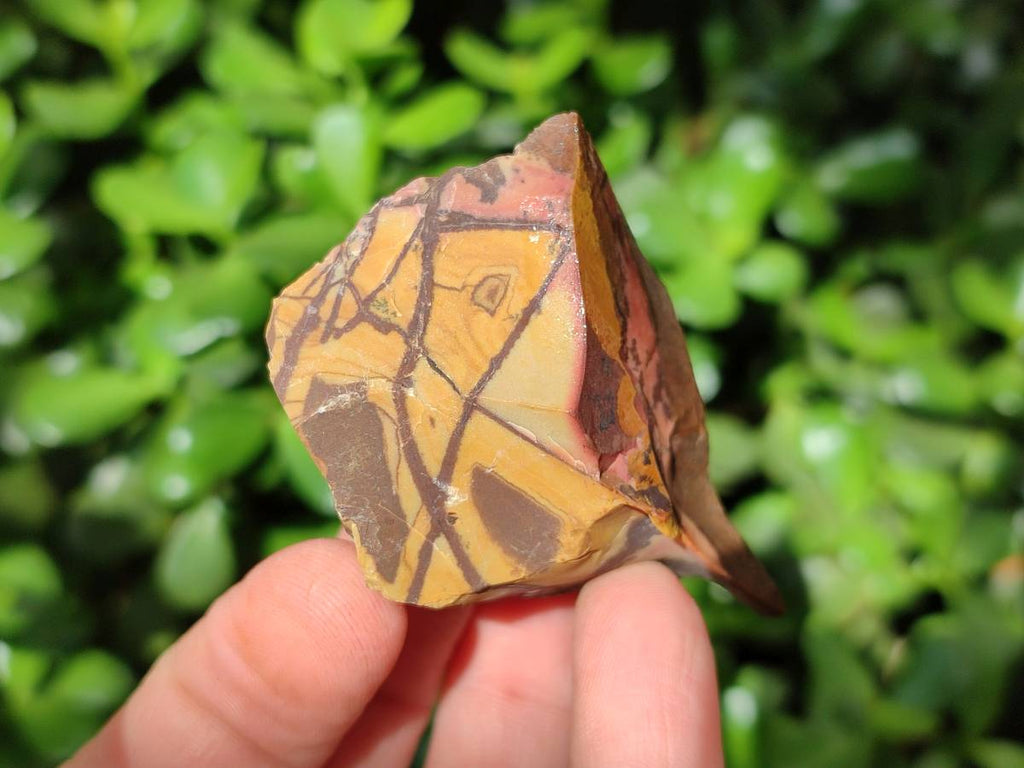Natural Nguni Jasper Cobbed Specimens x 28 From Northern Cape, South Africa - Toprock Gemstones and Minerals 