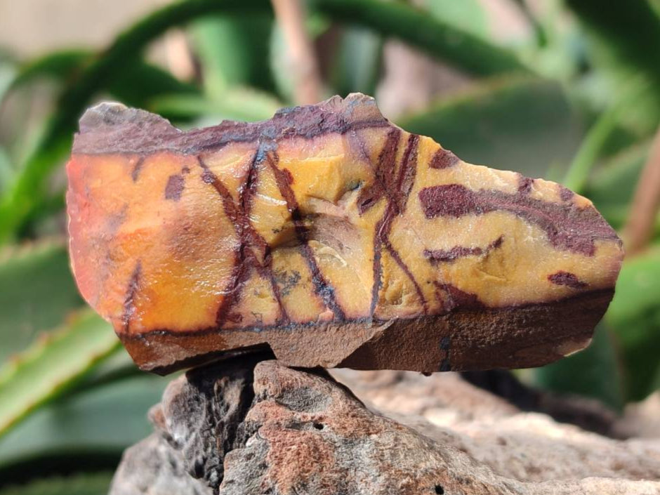 Natural Nguni Jasper Cobbed Specimens x 28 From Northern Cape, South Africa - Toprock Gemstones and Minerals 