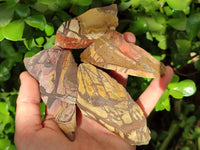 Natural Nguni Jasper Cobbed Specimens x 28 From Northern Cape, South Africa