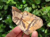 Natural Nguni Jasper Cobbed Specimens x 28 From Northern Cape, South Africa