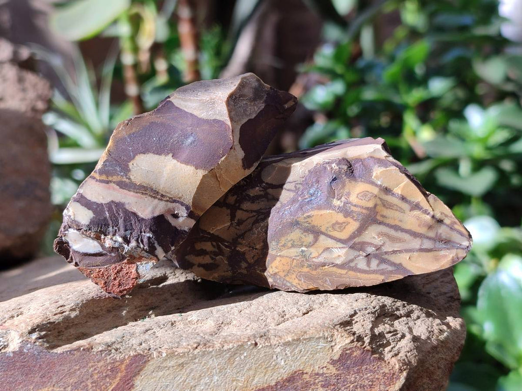 Natural Nguni Jasper Cobbed Specimens x 28 From Northern Cape, South Africa - Toprock Gemstones and Minerals 
