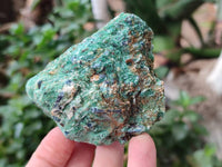 Natural Kyanite Crystals in Fuchsite Specimens x 6 From Zimbabwe