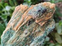 Natural Kyanite Crystals in Fuchsite Specimens x 6 From Zimbabwe