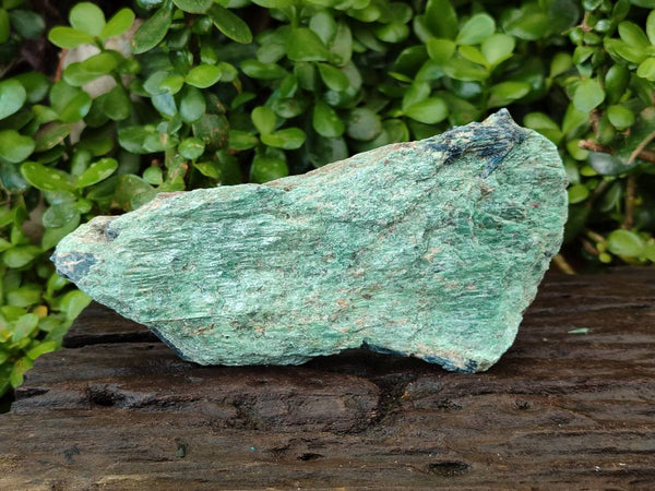 Natural Kyanite Crystals in Fuchsite Specimens x 6 From Zimbabwe