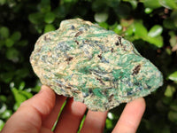 Natural Kyanite Crystals in Fuchsite Specimens x 6 From Zimbabwe