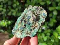 Natural Kyanite Crystals in Fuchsite Specimens x 6 From Zimbabwe
