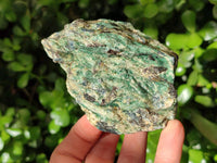Natural Kyanite Crystals in Fuchsite Specimens x 6 From Zimbabwe